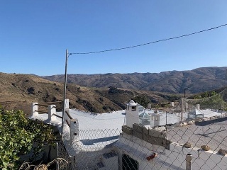 Visillo 5