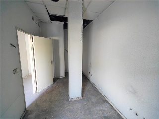 Palmar Del 5