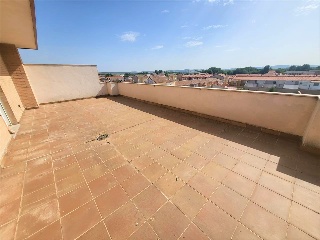 Torillo 20