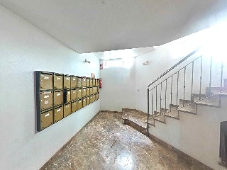  26