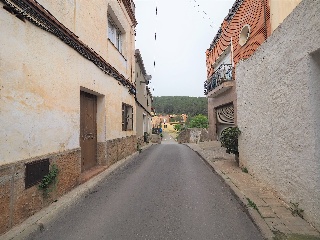 Flors De Les 9