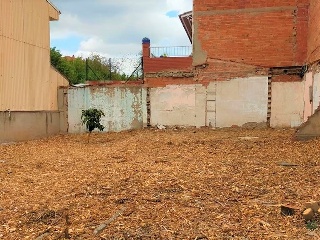 Alacant 5