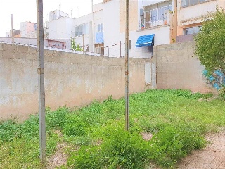 Sant Lluc 2