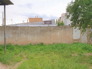 Sant Lluc 3
