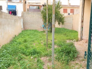 Sant Lluc 5