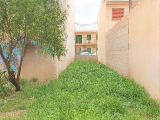 Sant Lluc 6