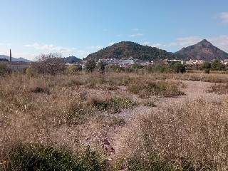 Partida Fosaret 3