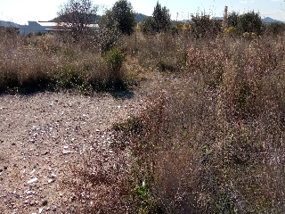 Partida Fosaret 5