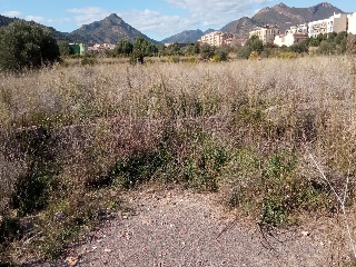 Partida Fosaret 6