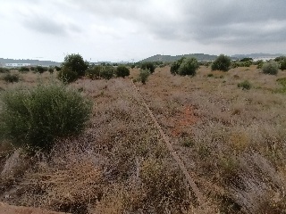 Partida Fosaret 7