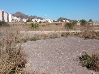 Fosaret 5