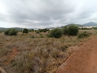 Fosaret 7