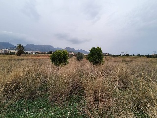Fosaret 10