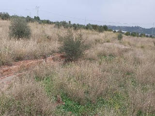 Fosaret 12
