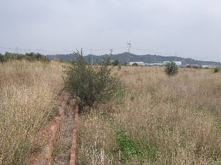 Fosaret 13