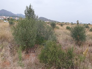 Otros en venta en Vall D'uixó (la)