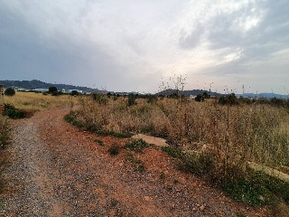 Fosaret 4