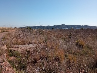 Fosaret 6