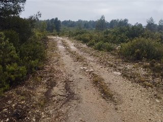 Cumbres Valencia 2
