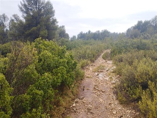 Cumbres Valencia 4