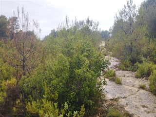 Cumbres Valencia 5