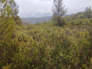 Cumbres Valencia 6