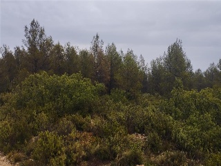 Cumbres Valencia 7