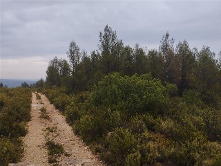 Cumbres Valencia 8