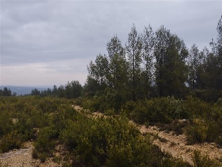 Cumbres Valencia 9