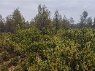 Cumbres Valencia 10