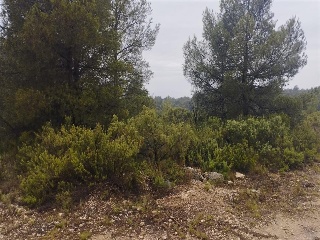 Cumbres Valencia 11