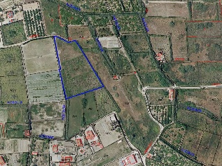 Pisos banco Cullera