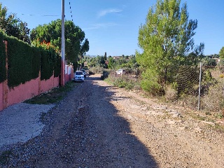 Safareig 5