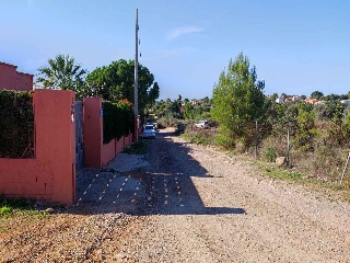 Safareig 7