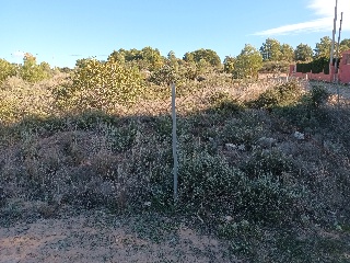 Safareig 10