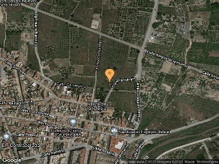 Huerto Naranjos 7