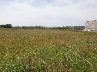 de la Ribera Alta 12