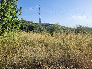 Camino Número Ocho 2