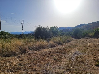 Camino Número Ocho 3