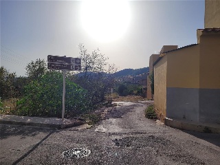 Camino Número Ocho 4