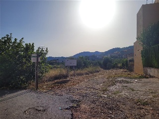 Camino Número Ocho 6