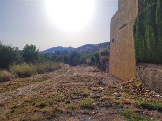 Camino Número Ocho 7