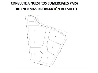 Camino Número Ocho 14