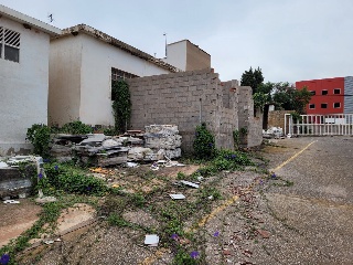 Oliva 12