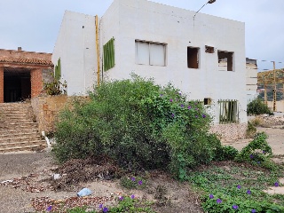 Oliva 13