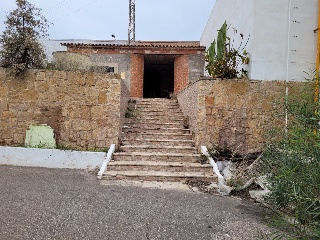 Oliva 14