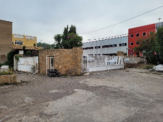 Oliva 18