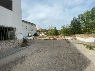 Oliva 19