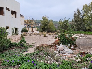 Oliva 20
