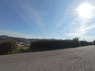 Luz La 7